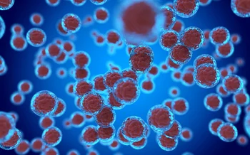 Microscopic view of blood cells representing advanced diagnostic testing used in functional medicine evaluations.