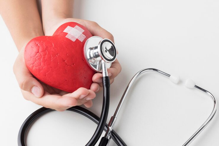Heart model with a stethoscope representing cardiovascular health evaluation and preventive care.