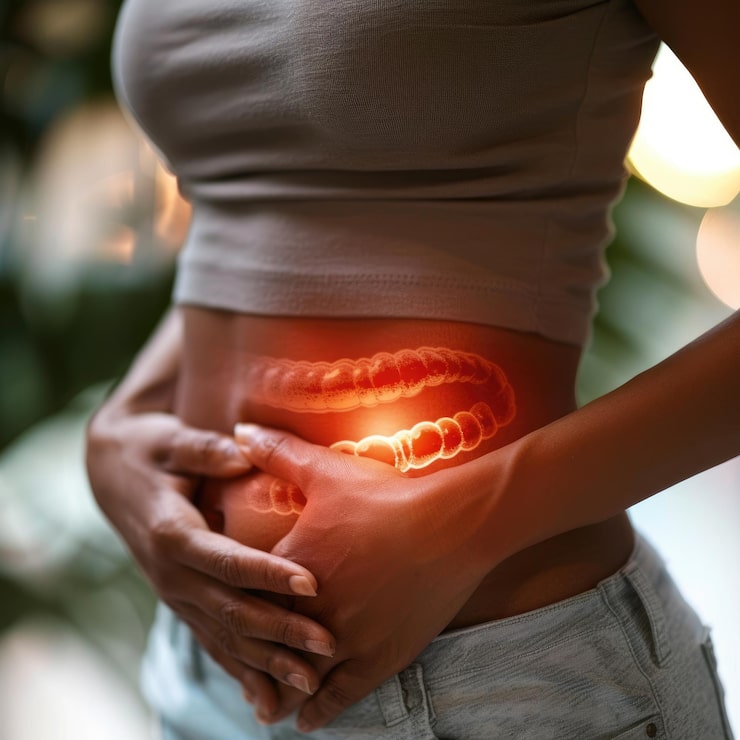 Illustration highlighting digestive health and the gastrointestinal system during a GI-MAP evaluation.